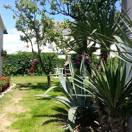 In Sabunike With Terrace, Air Conditioning, Wi-fi * Privlaka (Zadar)
