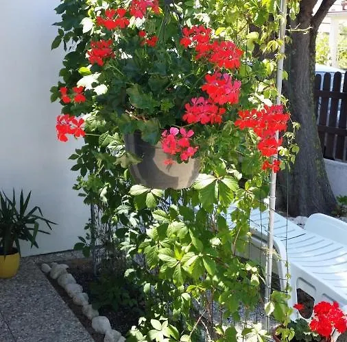 In Sabunike With Terrace, Air Conditioning, Wi-fi פריבלאקה